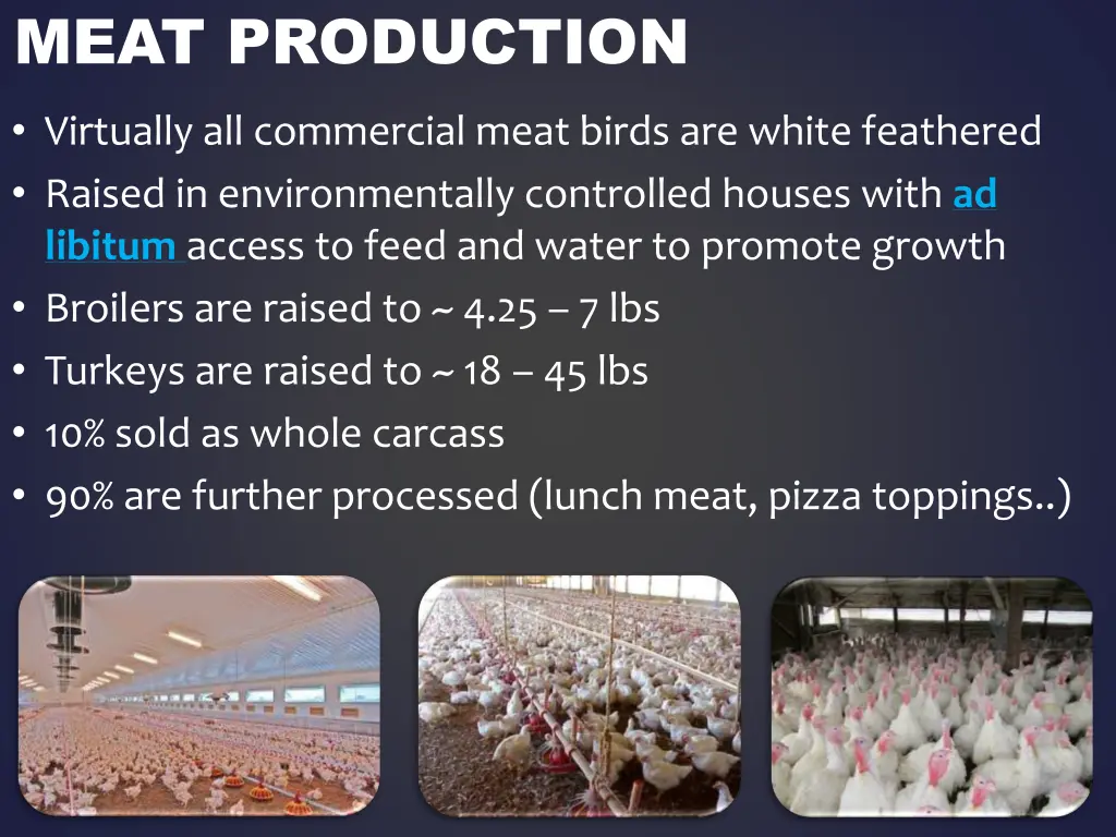 meat production