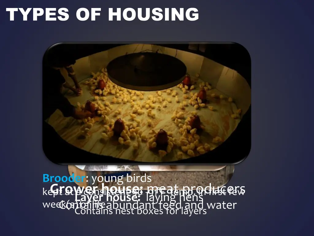 types of housing