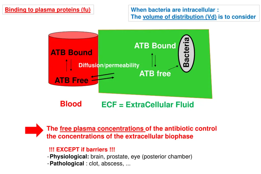 binding to plasma proteins fu