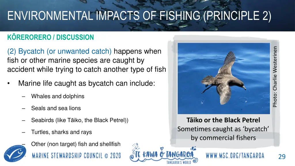 environmental impacts of fishing principle 2 1