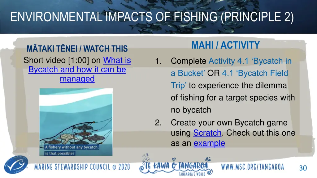 environmental impacts of fishing principle 2 2