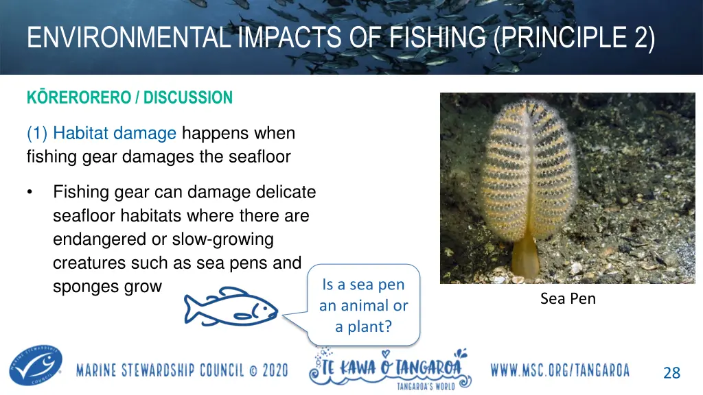 environmental impacts of fishing principle 2