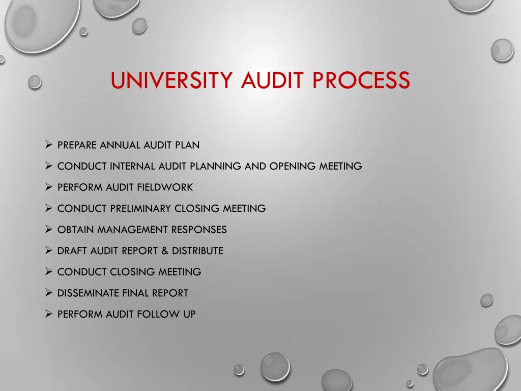 university audit process