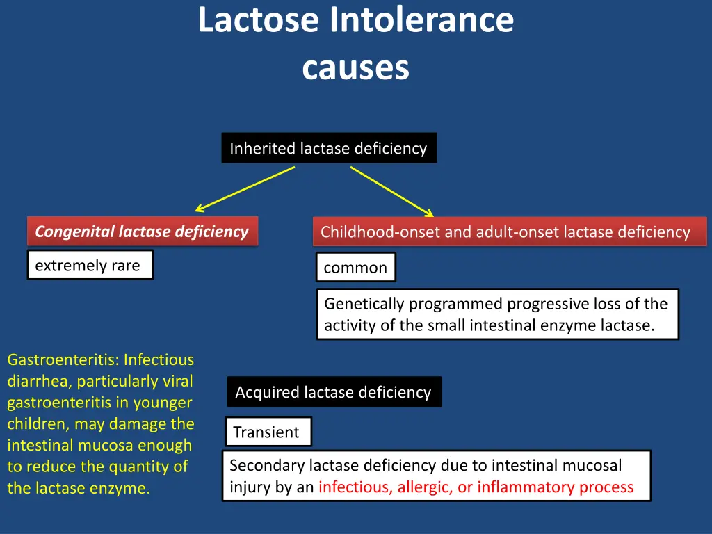 lactose intolerance causes