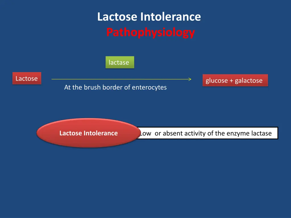 lactose intolerance pathophysiology