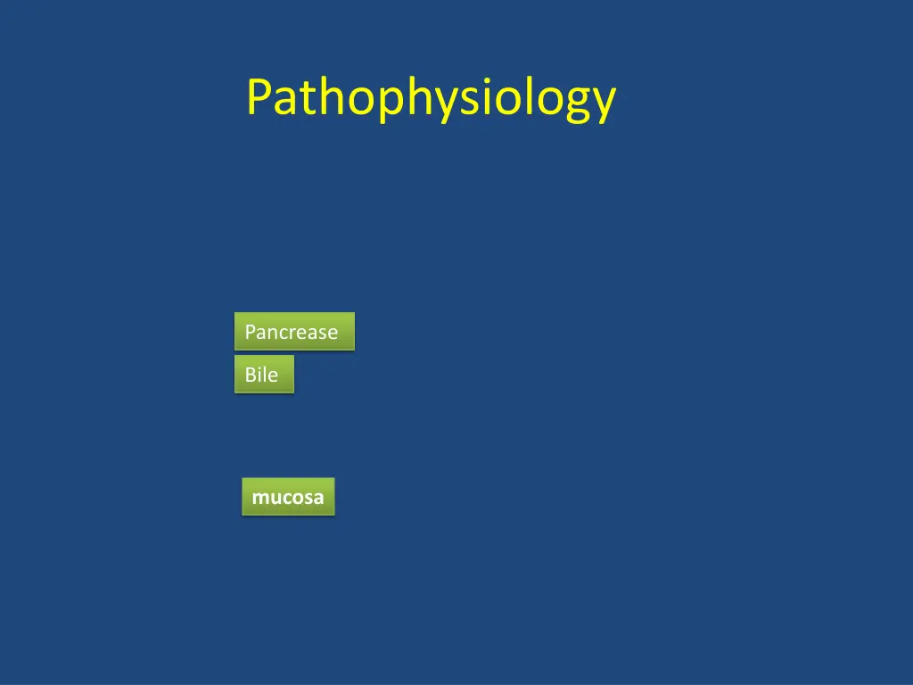 pathophysiology 3