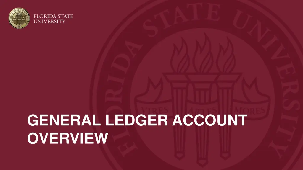 general ledger account overview