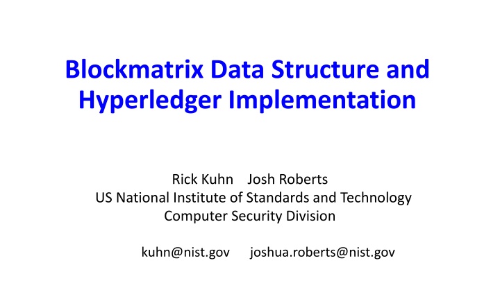 blockmatrix data structure and hyperledger