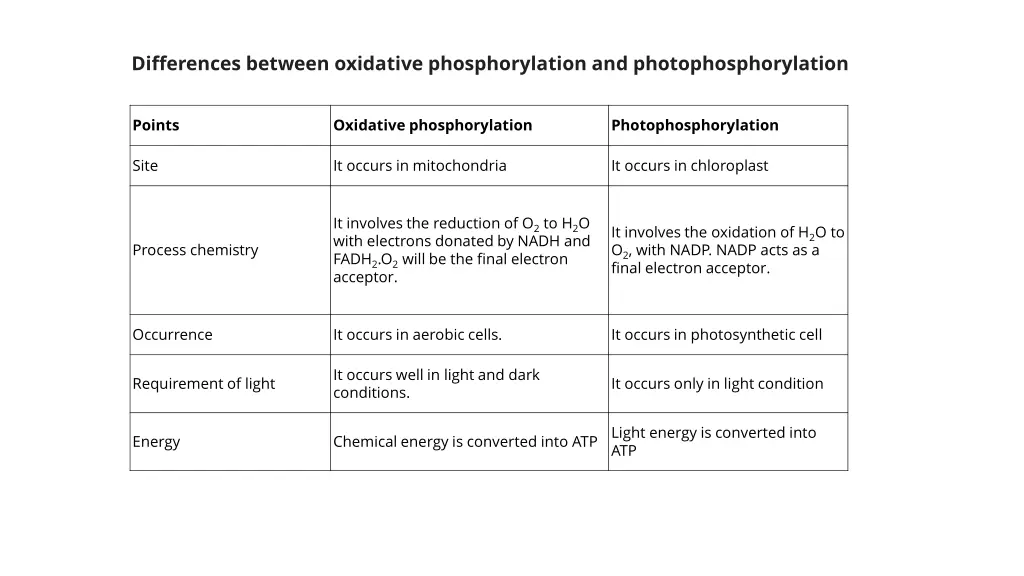 differences between oxidative phosphorylation