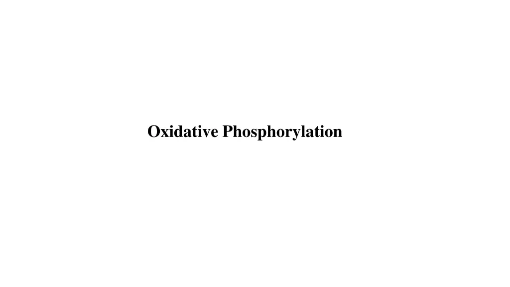 oxidative phosphorylation