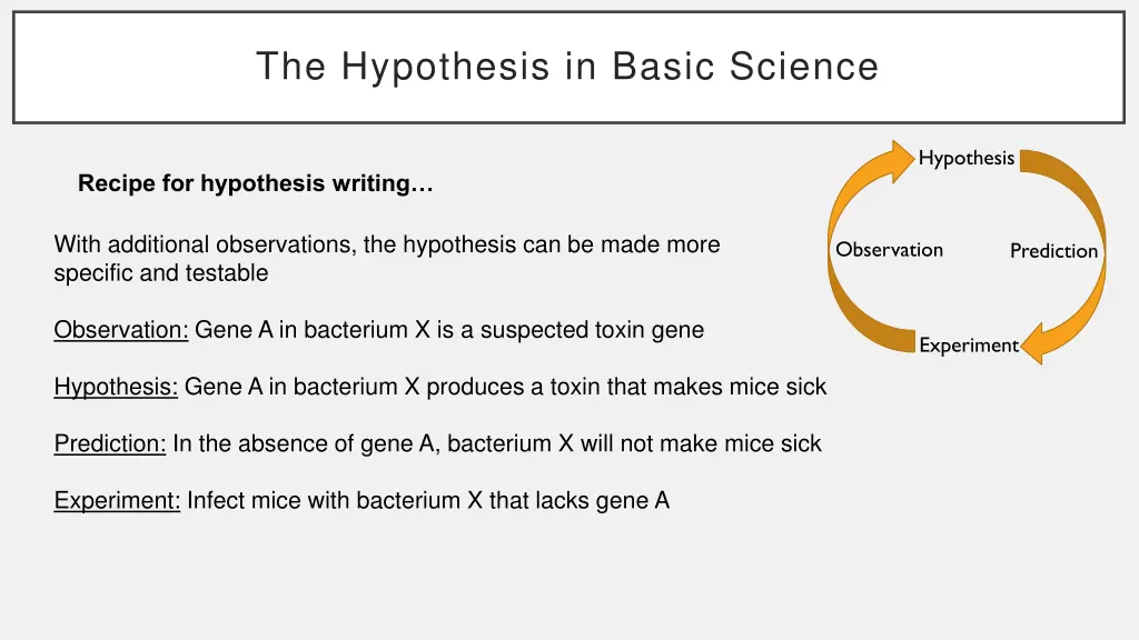 the hypothesis in basic science 5