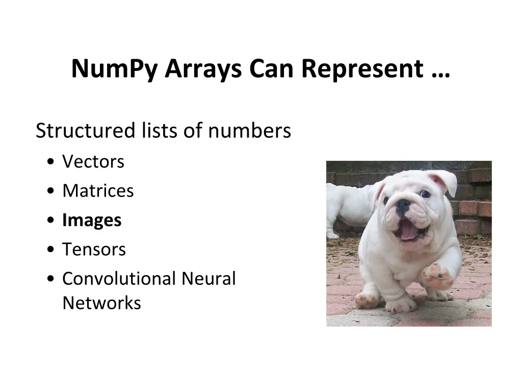 numpy arrays can represent 1