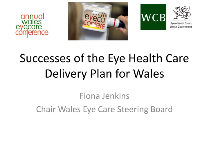 successes of the eye health care delivery plan