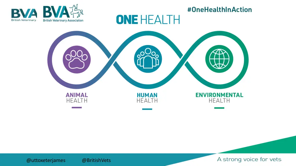 one health