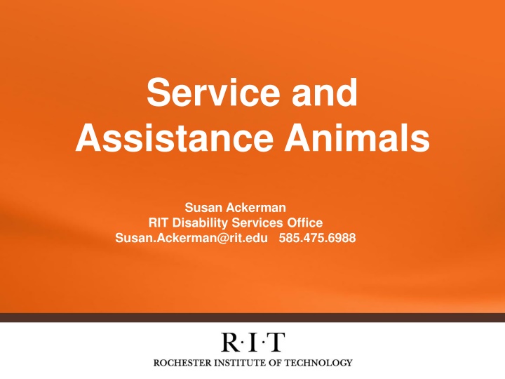 service and assistance animals