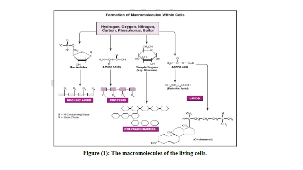 slide6