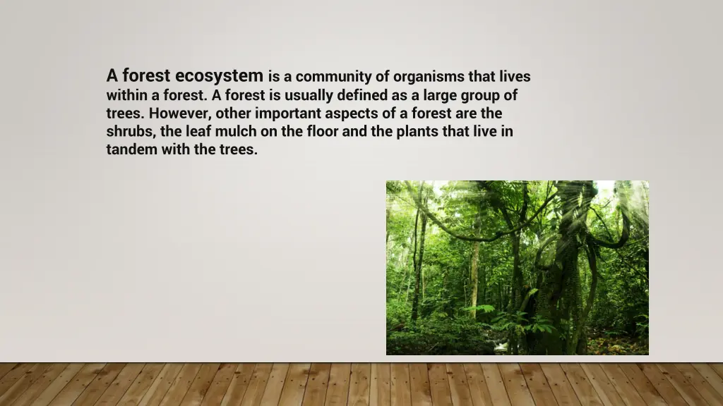 a forest ecosystem is a community of organisms