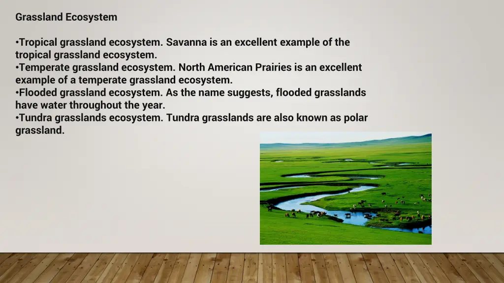 grassland ecosystem