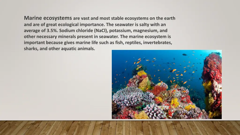 marine ecosystems are vast and most stable