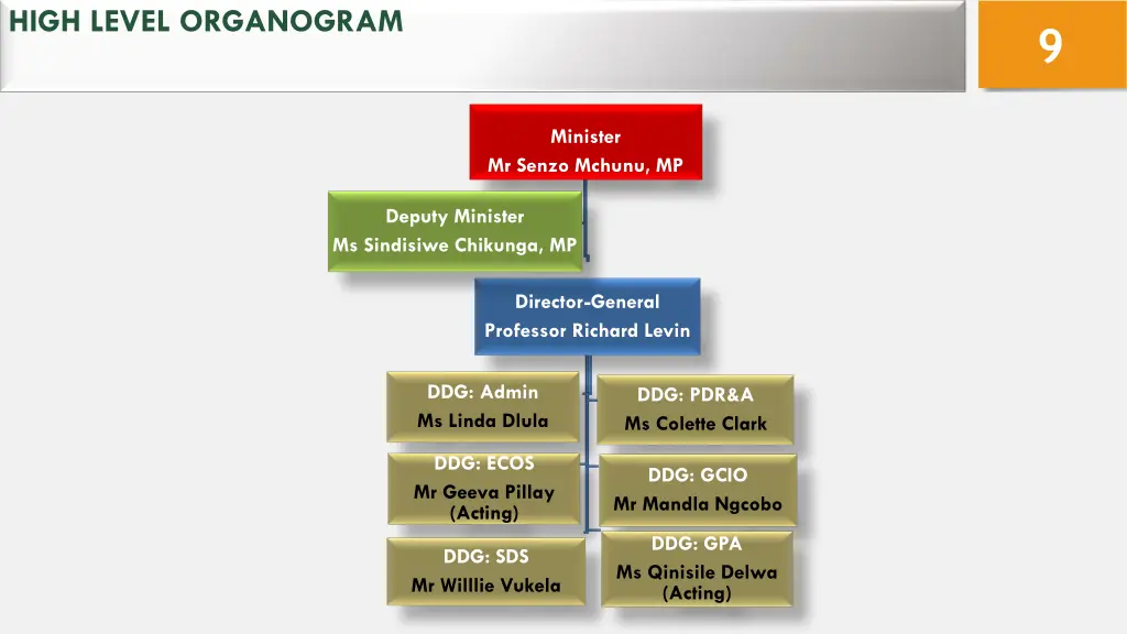 high level organogram