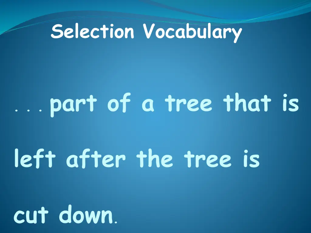 selection vocabulary 5