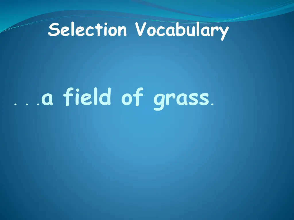 selection vocabulary 6