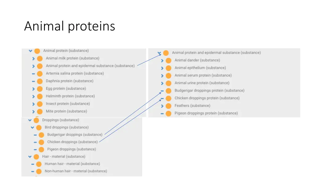 animal proteins