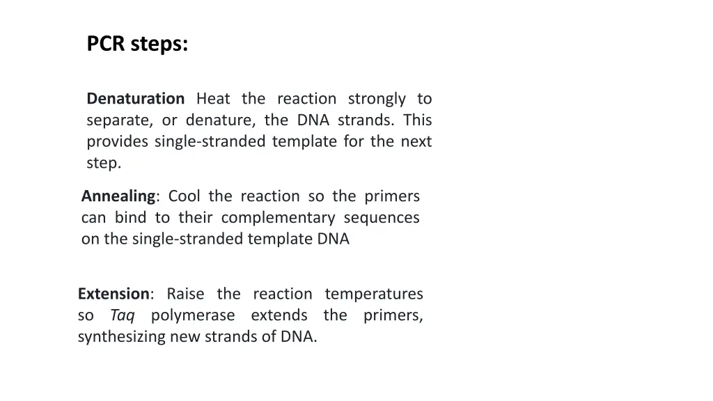 pcr steps