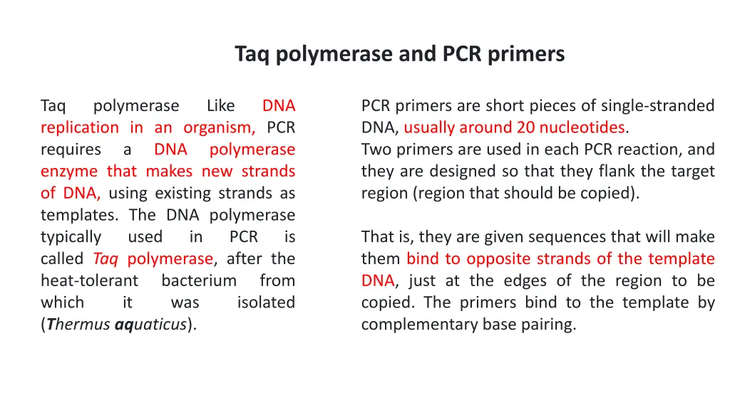 taq polymerase and pcr primers