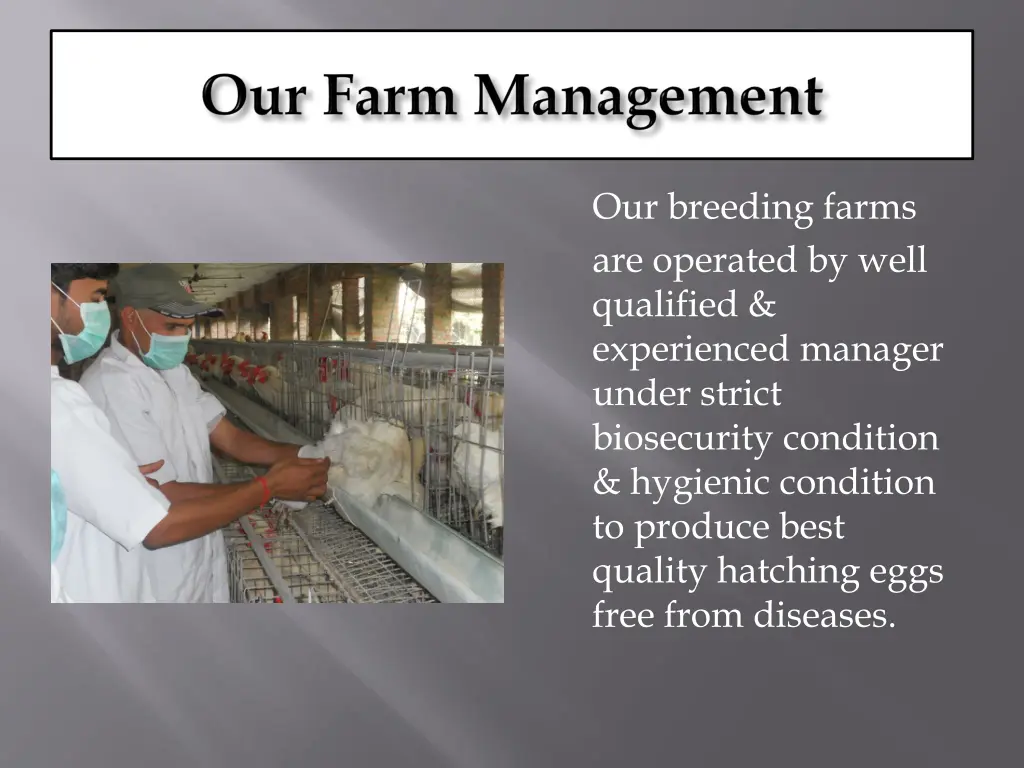 our breeding farms are operated by well qualified