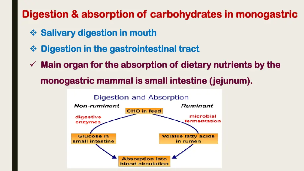 digestion absorption of carbohydrates