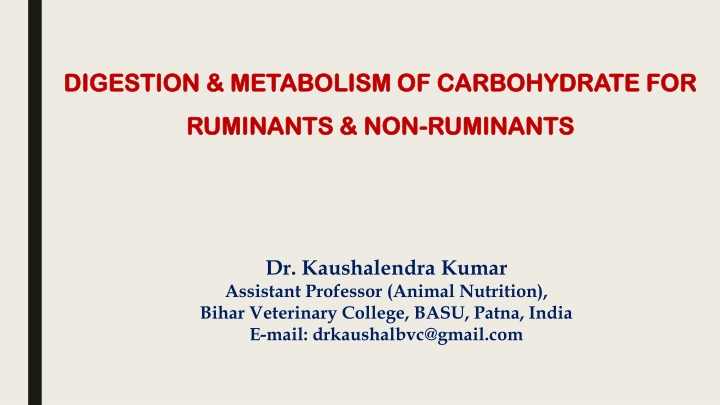 digestion metabolism of carbohydrate digestion