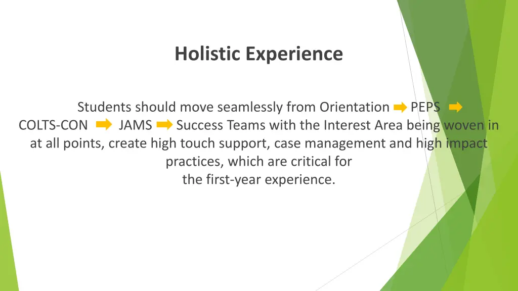 holistic experience