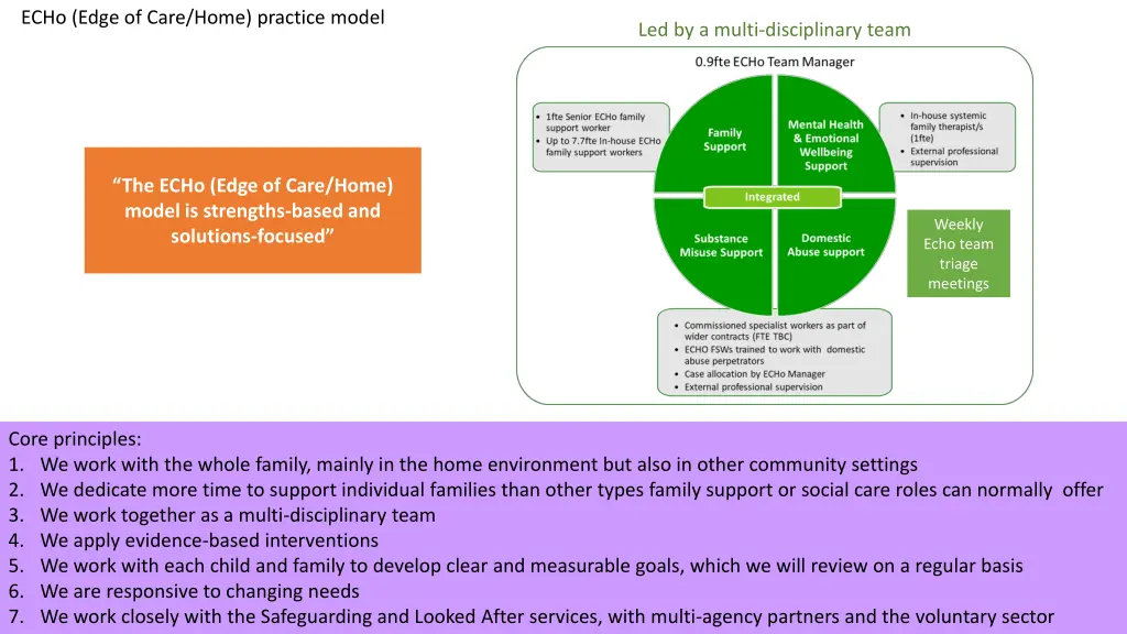 echo edge of care home practice model