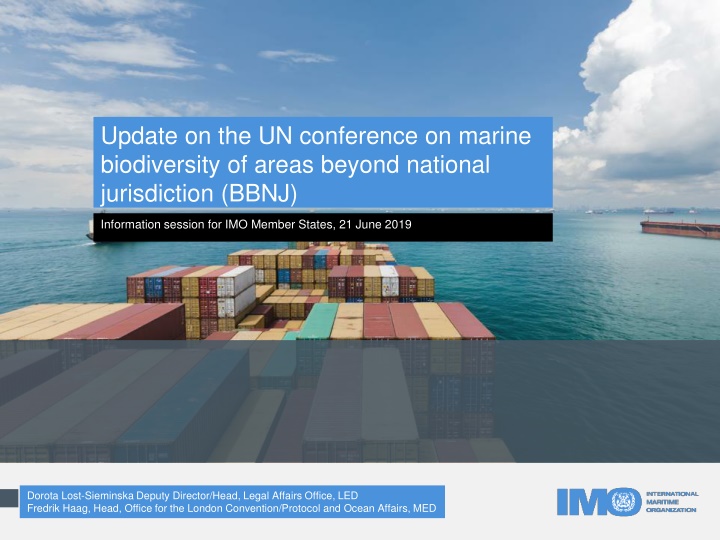 update on the un conference on marine