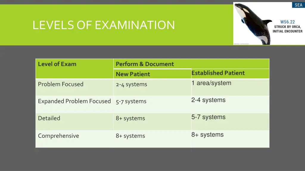 levels of examination