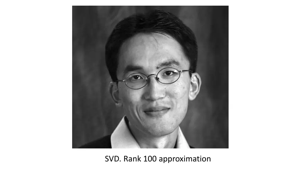 svd rank 100 approximation