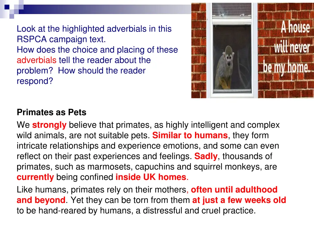 look at the highlighted adverbials in this rspca