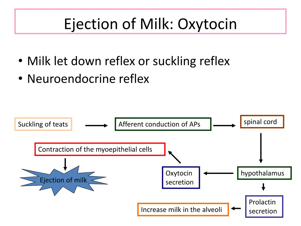 ejection of milk oxytocin