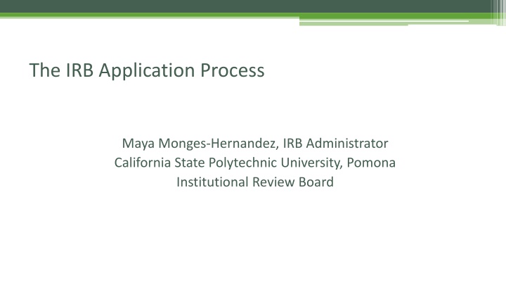 the irb application process