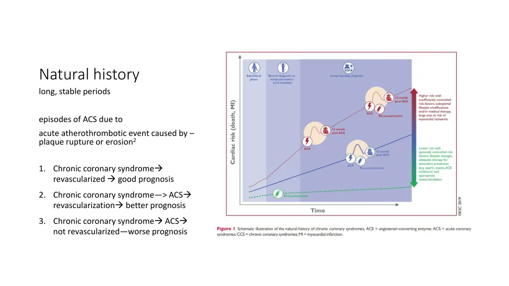 natural history long stable periods