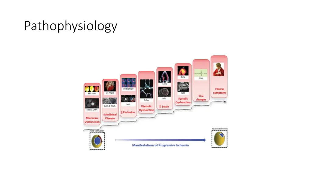 pathophysiology