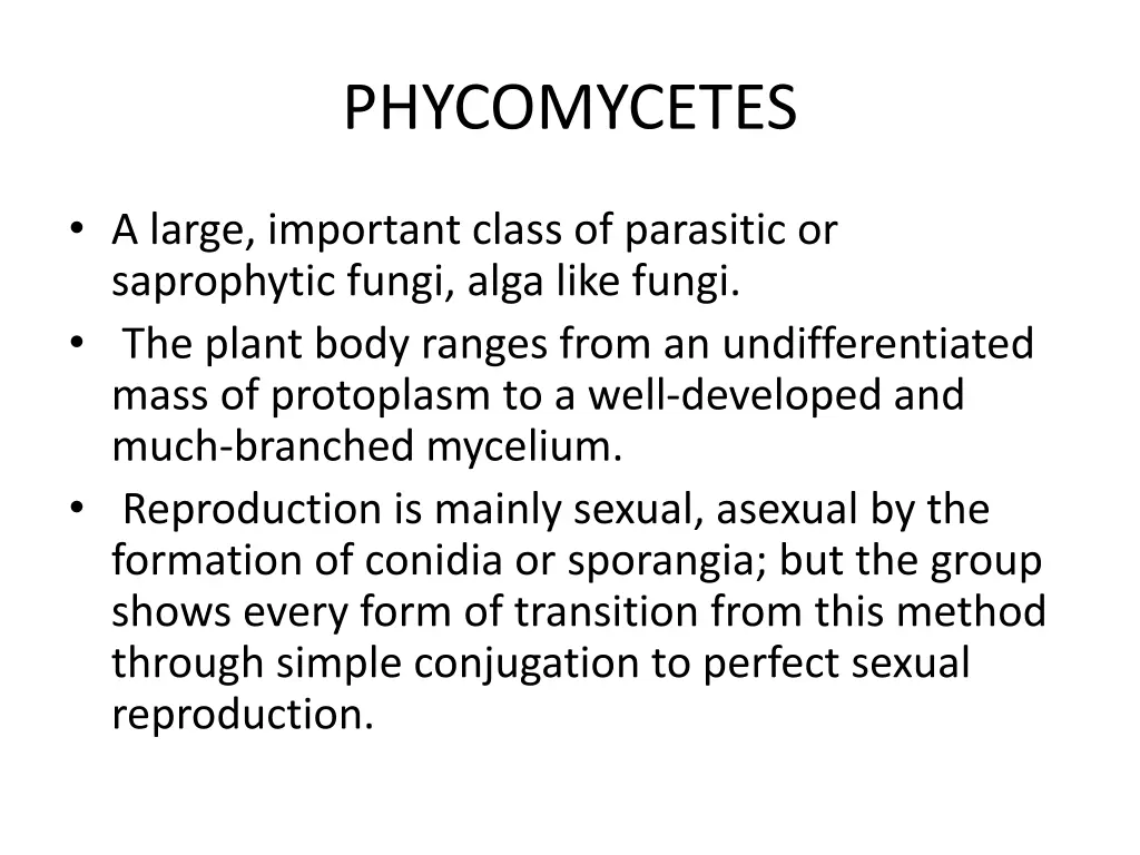 phycomycetes 1