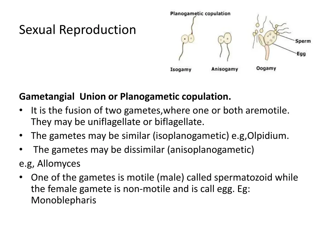 sexual reproduction 1