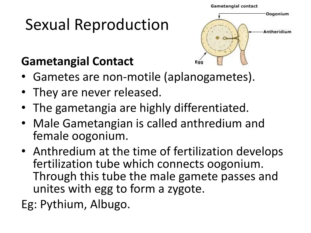 sexual reproduction 2