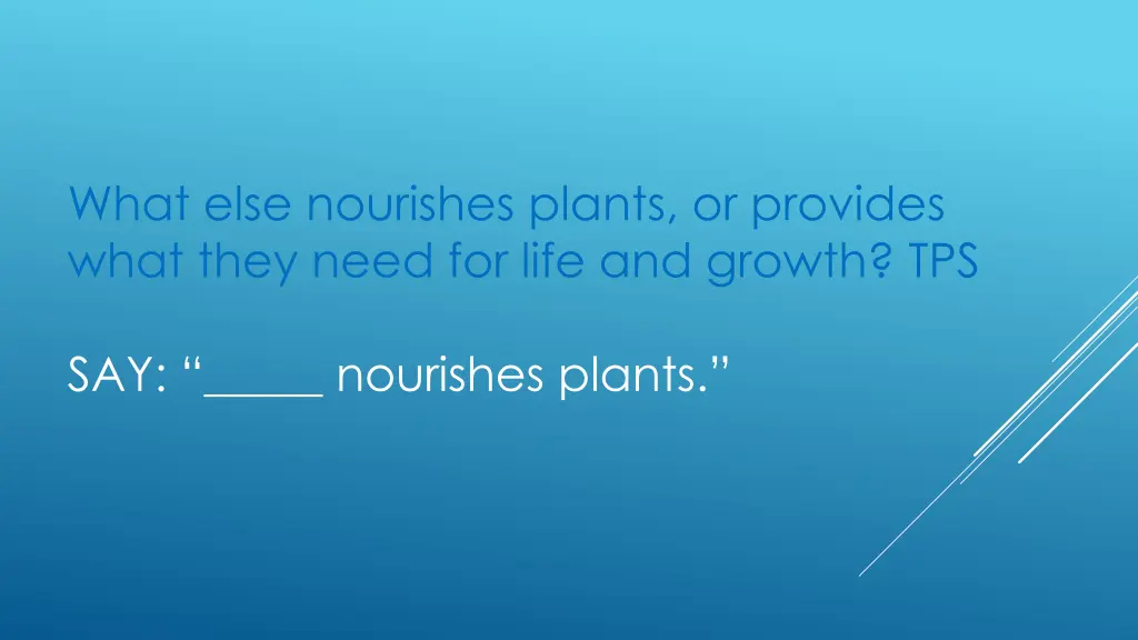 what else nourishes plants or provides what they