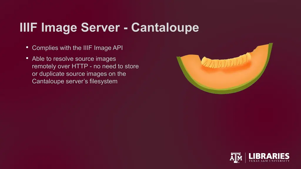 iiif image server cantaloupe