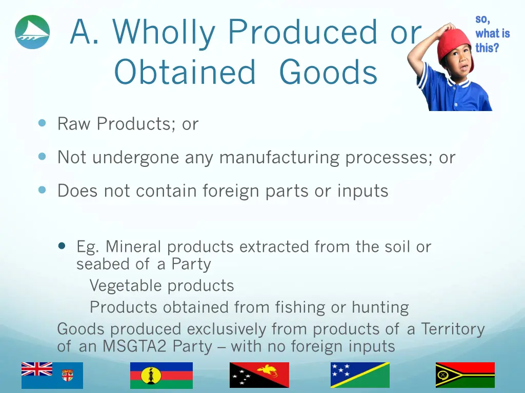 a wholly produced or obtained goods 1