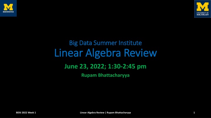 big data summer institute big data summer