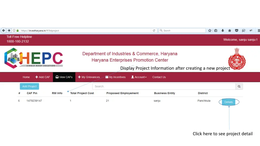 display project information after creating